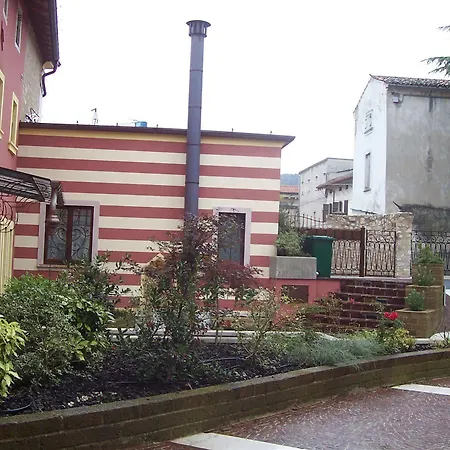 Vinco Tregnago