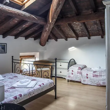 Vinco Tregnago