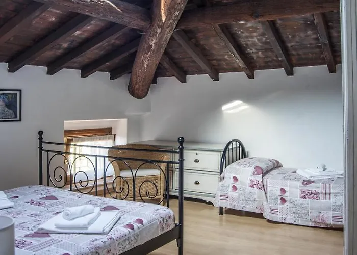 Vinco Tregnago